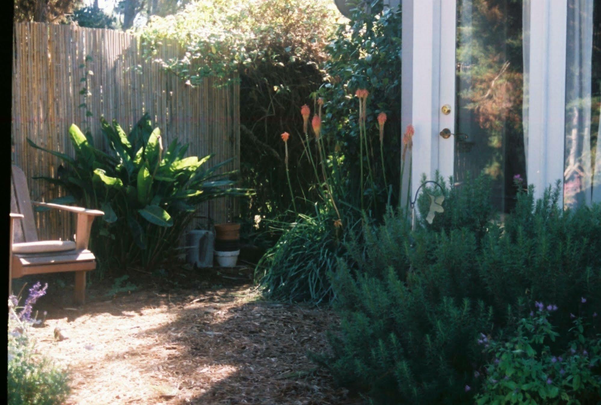 Dreydon House Bed And Breakfast Cambria Exterior foto